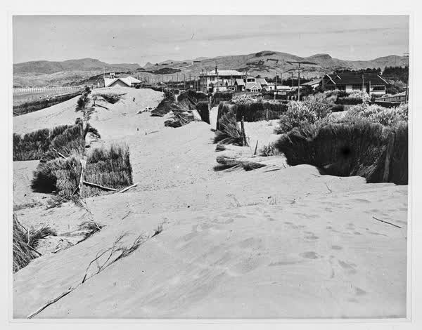 Foredunes at North Beach Surf Club, 1940
