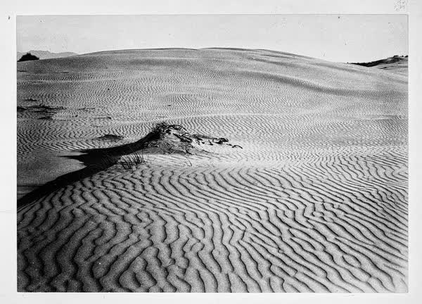 Sand ripples, 1900