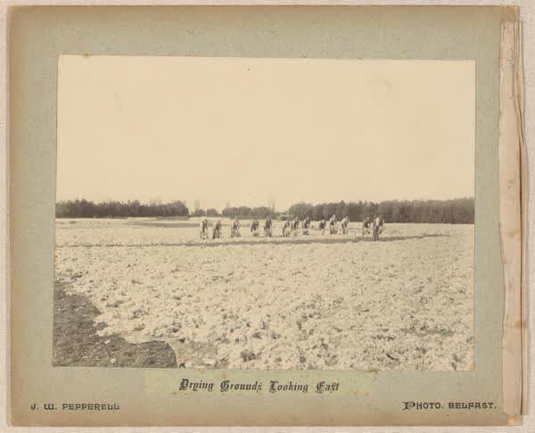 Drying grounds looking east, 1890