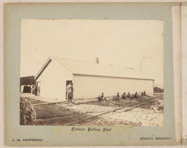 Exterior pulling shed, 1890