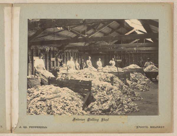 Interior pulling shed, 1890