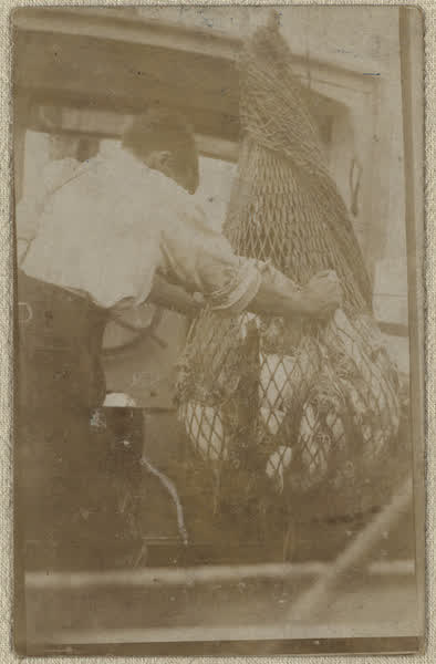 Bernard Demicheli hauling in a net, 1910