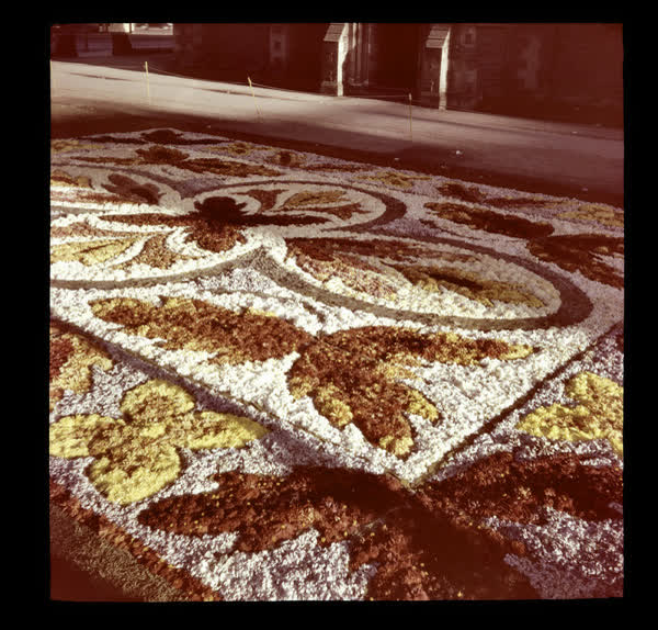 Floral carpet, 1951