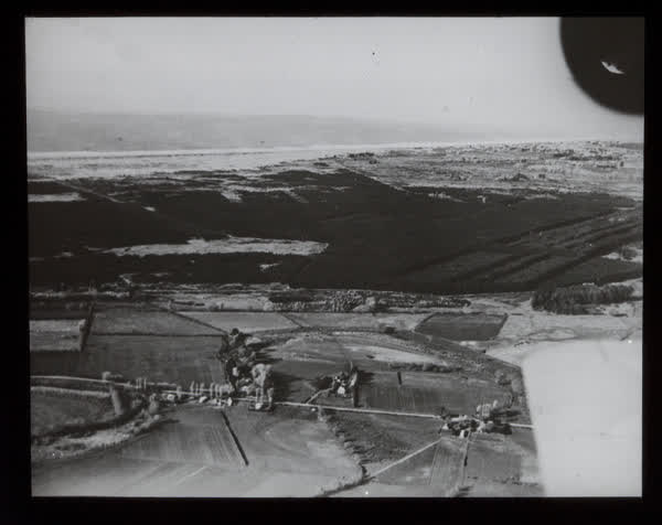 Aerial view of forest, 1940
