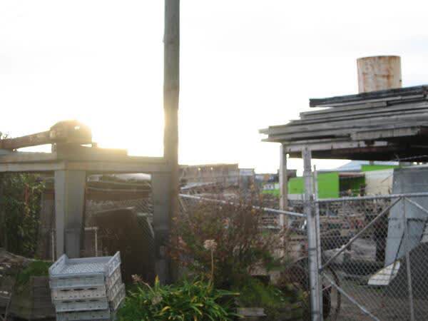 Building supplies at CRC Salvage yard, 2009